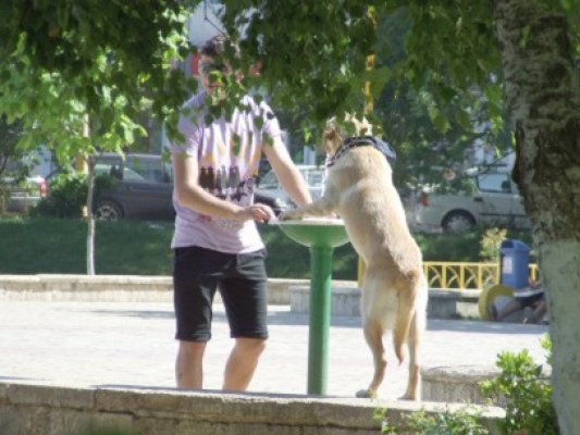 Caniculă în vestul Europei